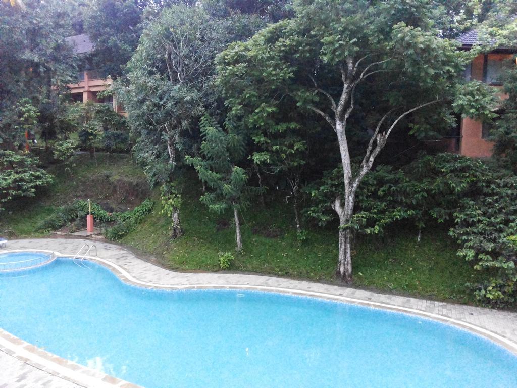 Abad Green Forest Thekkady Kumily Екстериор снимка
